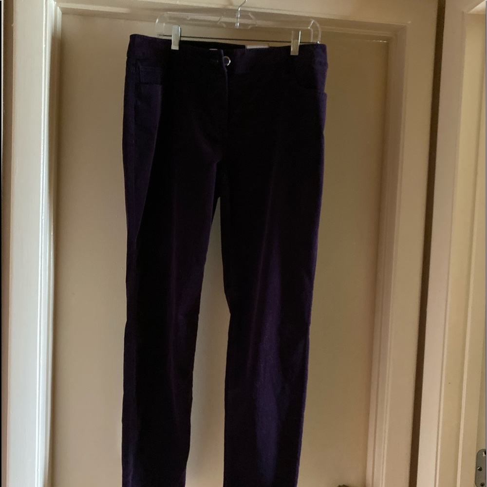 Chicos’ Velveteen 5 Pocket Plush Purple Pant NWT
